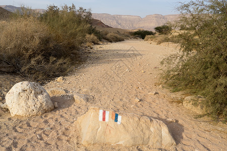 在以色列涅盖夫沙漠地带旅行远足假期游客沙漠远足者山脉天空旅游背景图片