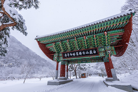 冬天的奈詹桑 下着雪高清图片