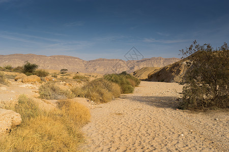 在以色列涅盖夫沙漠地带旅行沙漠山脉远足天空游客远足者旅游假期背景图片