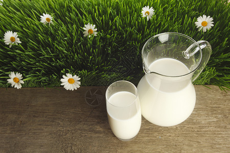 花地上的牛奶罐和玻璃杯乡村洋甘菊农场国家甘菊农业奶制品农田雏菊白色背景图片