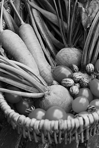 蔬菜园的新鲜产品 汇集在篮子中乡村蔬菜柳条食物健康饮食黄瓜生产园艺拨款菜园背景图片