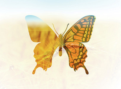双从曝光双曝光风格的蝴蝶矢量插图 问候春天或夏天翅膀飞行绘画场地昆虫太阳白色君主植物水彩插画