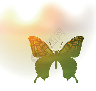 双从曝光双曝光风格的蝴蝶矢量插图 问候春天或夏天绘画太阳飞行水彩白色场地植物君主生态翅膀插画