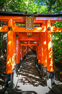 伏见神社伊纳里日本人高清图片