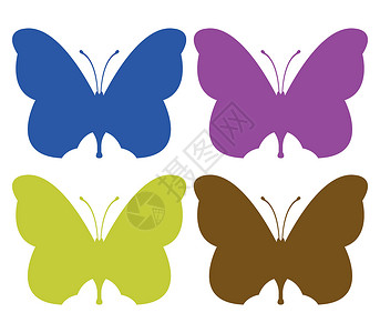 蝴蝶图标绿色收藏翅膀艺术昆虫白色黑色插图背景图片
