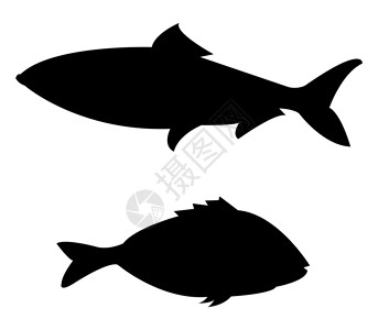 鱼图标宠物插图黑色夹子海鲜艺术钓鱼生活食物海洋背景图片