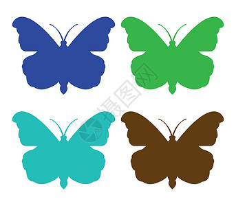 蝴蝶图标翅膀艺术黑色白色绿色收藏插图昆虫背景图片