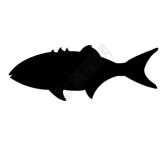 鱼图标夹子艺术钓鱼宠物生活插图海洋动物海鲜黑色背景图片