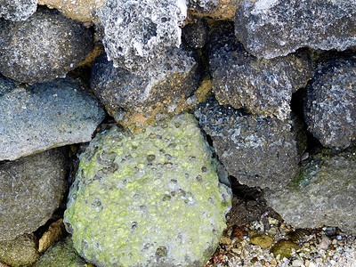 石头纹理化石矿物质地板岩石痕迹石方水平石灰石宏观墙纸背景图片