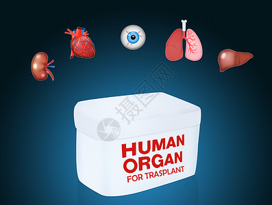 用于移植的人体器官卡片手术捐赠者肾脏角质药品外科医院疾病眼睛背景
