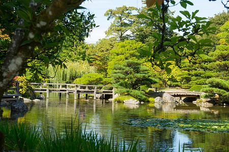 西雅图华盛顿公园阿伯尔图的日本花园庭园秋叶背景图片