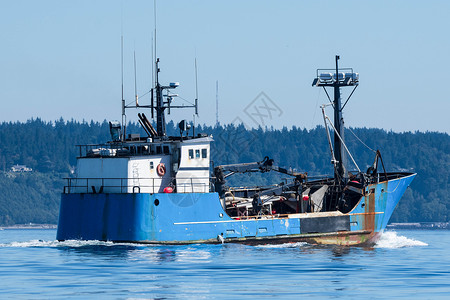 雾蓝商船海洋渔船航海血管螃蟹商业渔业钓鱼船队背景图片