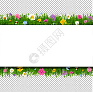 绿雏菊具有绿花透明背景的贺卡Name设计图片