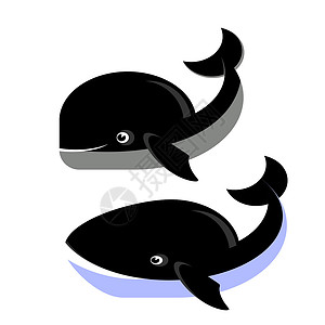 湿游泳孤立的鲸鱼图标插画