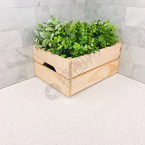 厨房拐角一个木箱中的绿色植物背景