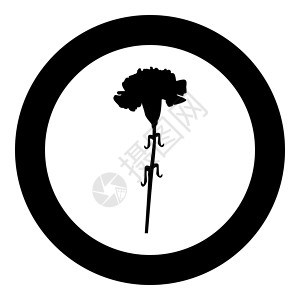 康乃馨图标黑颜色在 circl圆圈叶子花瓣黑色收藏植物圆形水彩植物学花束背景图片