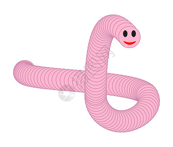 孤立在白色背景上的卡通粉红色蠕虫野生动物标识粉色绘画快乐花园插图漫画眼睛乐趣背景图片