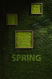 深绿色绿苔草墙植物叶子生长森林绿化地衣墙纸宏观绿色植物小样背景图片