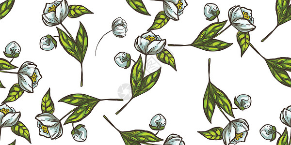 无缝花卉手绘图案 素描花打印在柔和的颜色矢量背景植物群草图花瓣植物纺织品装饰品墙纸草地绘画织物背景图片