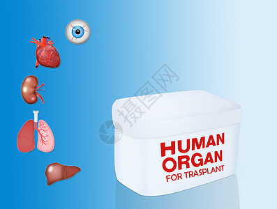 用于移植的人体器官卡片眼睛医院疾病协会插图捐赠者外科药品肾脏背景