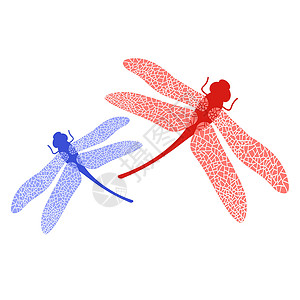 彩色 Stilized 蜻蜓 昆虫标志设计 七叶草野生动物装饰标识艺术风格航班插图翅膀生物学荒野插画