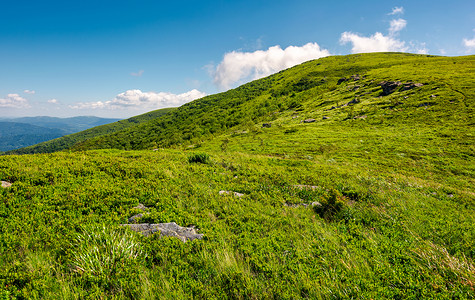 驼峰岭天池夏天宽的高清图片