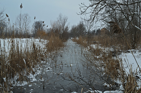 刺骨的冬季风景 周围有冰冻的运河和雪雪天气季节寒冷农村场景天空森林公园场地冬令背景
