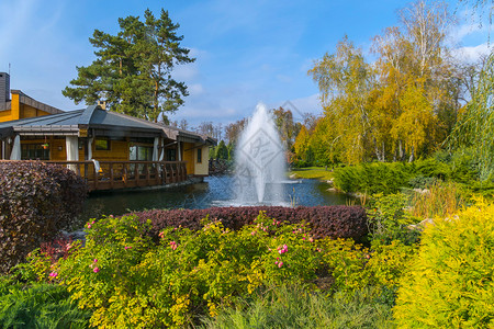 花园池塘带粉红玫瑰的花朵床 在湖面上背景