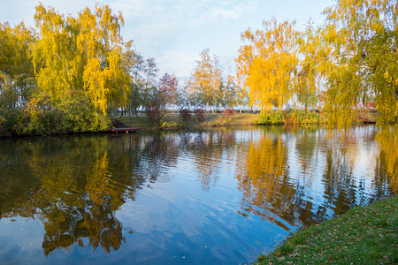pa66在湖水中的金树叶的反射 在一个Pa湖的水中背景