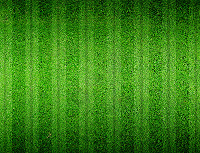 绿草线草地蟋蟀体育场运动足球草皮土地绿色背景图片