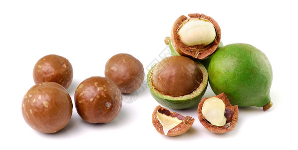 白种背景的坚果水果健康核心团体榛子棕色食物白色紧缩种子背景图片