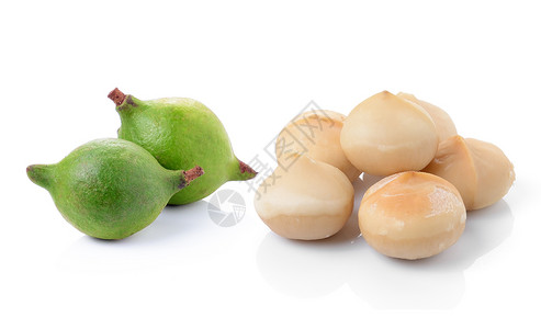 白种背景的坚果种子核心团体白色棕色水果食物背景图片