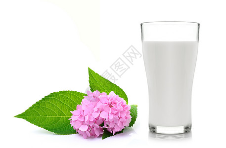 白色的鲜奶和热带花背景图片
