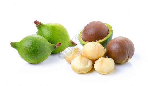 白种背景的坚果棕色团体食物白色核心水果种子背景图片