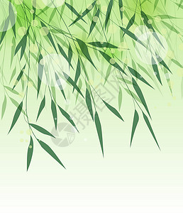 竹绿叶森林情调丛林文化热带卡片叶子衬套墙纸绘画背景图片