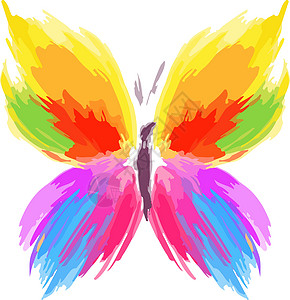 蝴蝶画来自彩色飞溅和线条刷的蝴蝶 矢量横幅红色翅膀样本蓝色创造力艺术刷子彩虹绿色设计图片