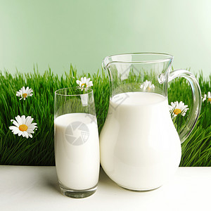 花地上的牛奶罐和玻璃杯奶制品农田农业雏菊农场国家水壶牧场产品绿色背景图片