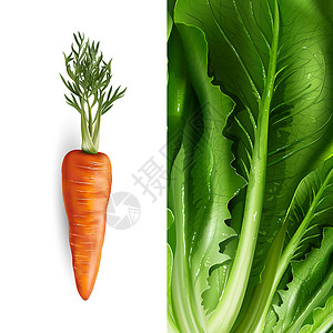 胡萝卜和生生素插图美食餐厅甜点蜜饯蔬菜广告食物生态徽章标签背景图片