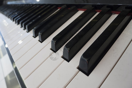 特写钢琴键乐器钥匙音乐键盘白色背景图片