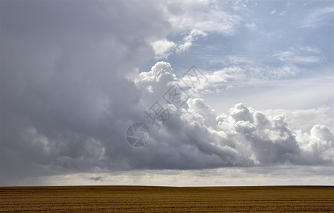 加拿大帕蕊雷风暴云风暴风景天气农村草原戏剧性多云危险天空农业背景图片