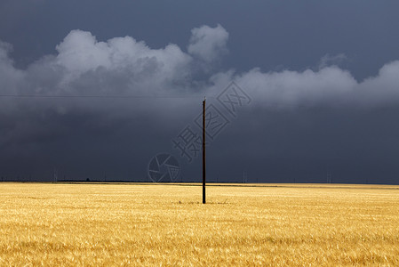加拿大帕蕊雷风暴云风暴草原多云戏剧性天气危险天空场景农业农村背景图片