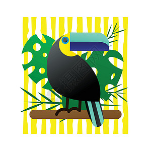 一只明亮的热带鸟图卡的矢量图解动物野生动物插图橙子海报问候语卡通片风格装饰旅行背景图片