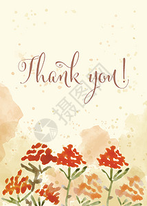 美丽的水彩花板卡 请留言 谢谢树叶卡片植物学花卉墨水水性水彩植物手绘植被背景图片