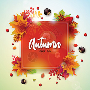 秋天的栗子秋天的插图与五颜六色的落叶栗子和白色背景上的刻字 贺卡横幅传单邀请小册子或宣传海报的秋季矢量设计设计图片