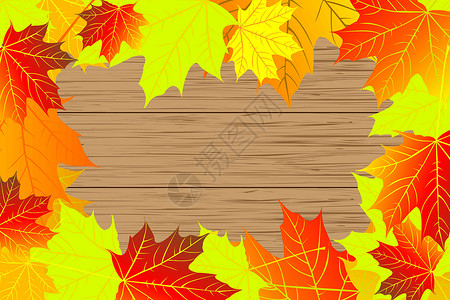落叶木板枫树的秋叶木板树叶植物盘子木头金子叶子季节框架卡片插画