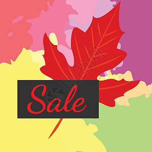 秋天的叶子和销售 网站横幅模板自然标签广告季节营销市场森林插图价格问候语背景图片