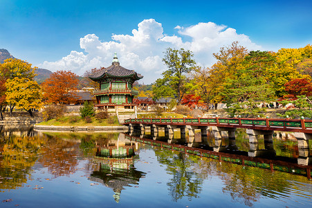 景福宫秋天秋天在韩国首尔(首尔)的和Mille树背景
