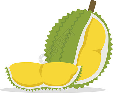 榴莲果扁平榴莲和切块矢量与孤立的白色背景 水果之王 热带水果插画