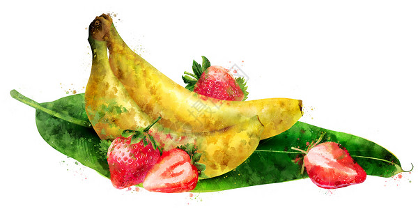 扁平画水果香蕉白色背景上的香蕉和草莓 它制作水彩画叶子标签餐厅蜜饯食物水彩浆果斑点包装果汁背景