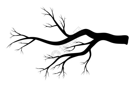 白色背景上孤立的光秃秃的树枝冬季设计木头季节森林黑色枝条卡通片树干标识植物机构背景图片